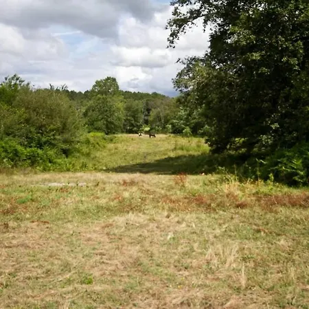 Aux Tuileries * Noaillan