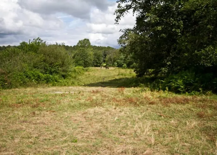 Aux Tuileries * Noaillan